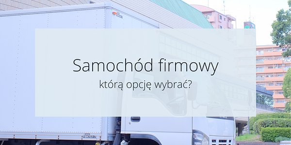 Samochód firmowy w Holandii